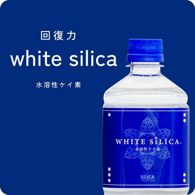 20260805_topitemlist-ws